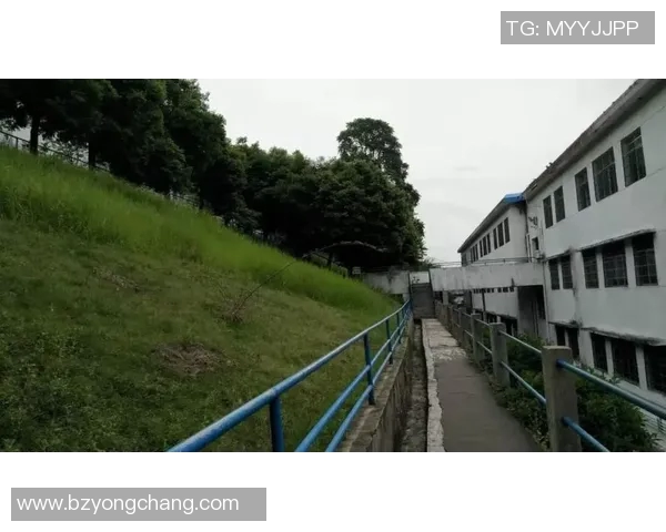 新丰二中足球比赛精彩视频直播全程回顾与精彩瞬间分享